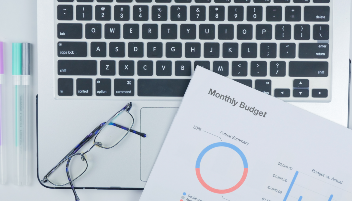 Sales Manager's monthly budget plan.